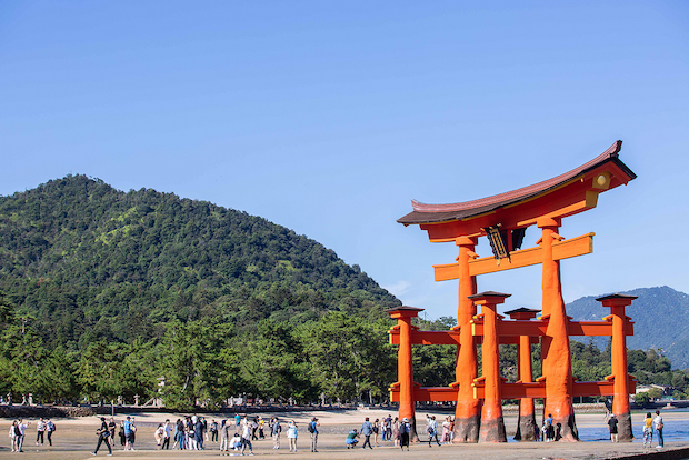 広島東洋カープ シティクリーン プロジェクト