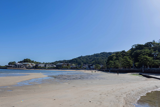 広島東洋カープ シティクリーン プロジェクト