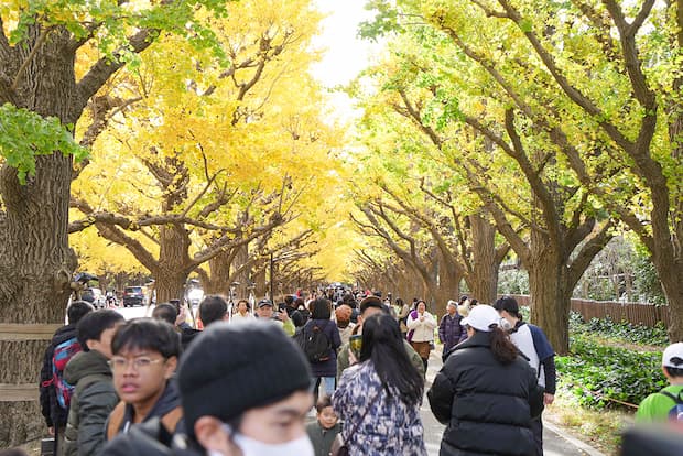 東京ヤクルトスワローズ シティクリーン プロジェクト