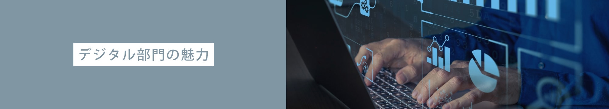 デジタル部門の魅力