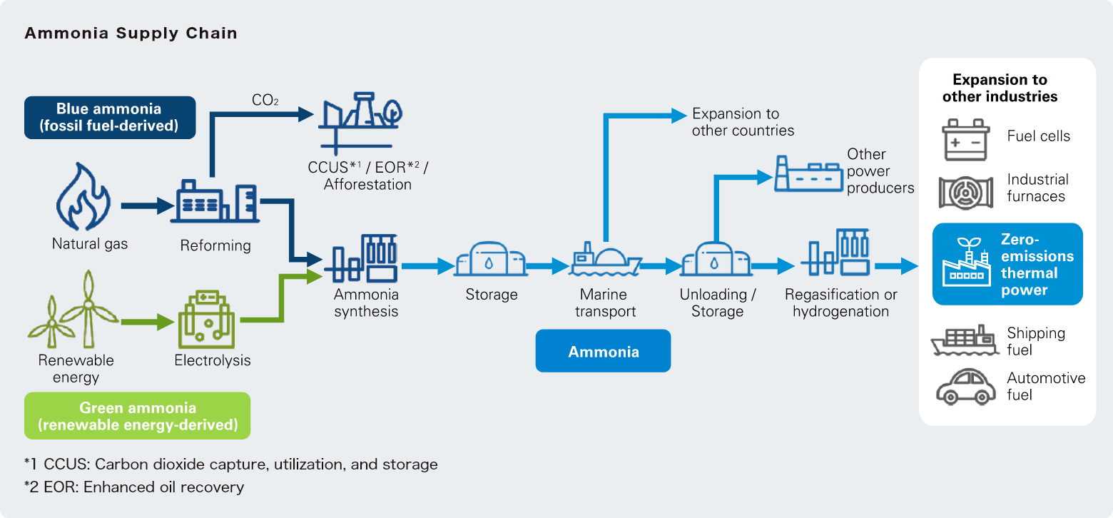 Ammonia Supply Chain