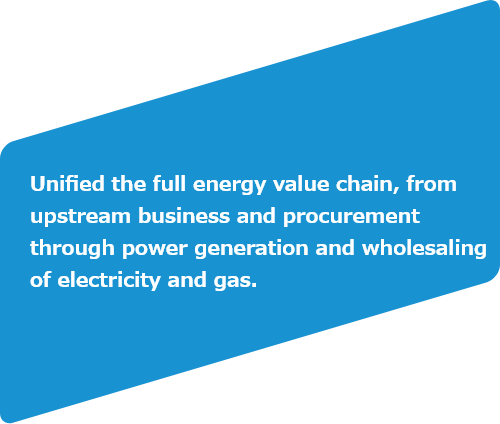 Unified the full energy value chain, from upstream business and procurement through power generation and wholesaling of electricity and gas.