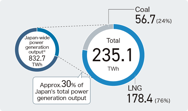 FY2022 Domestic Power Generation Output (by fuel type)