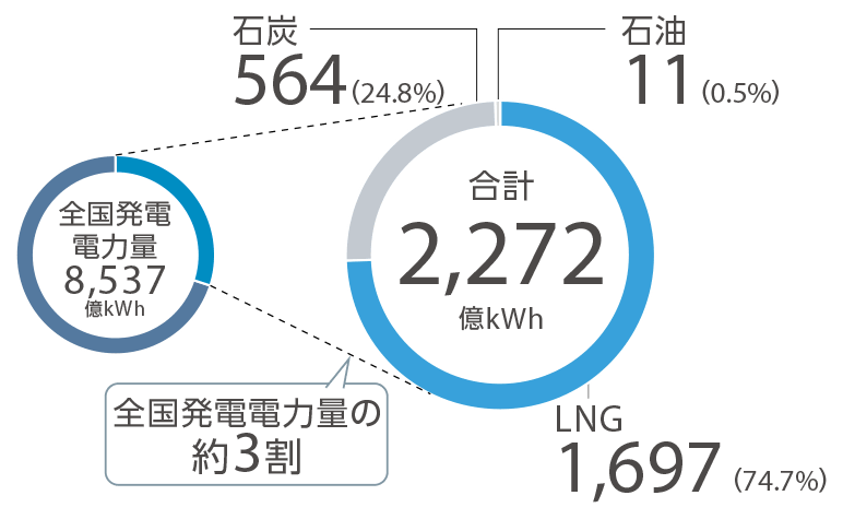 2024年度 国内発電電力量（燃料種別）