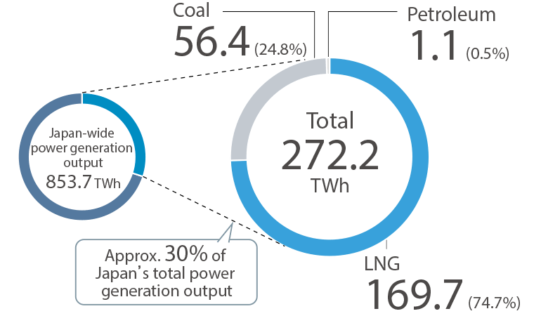 FY2024 Domestic Power Generation Output (by fuel type)